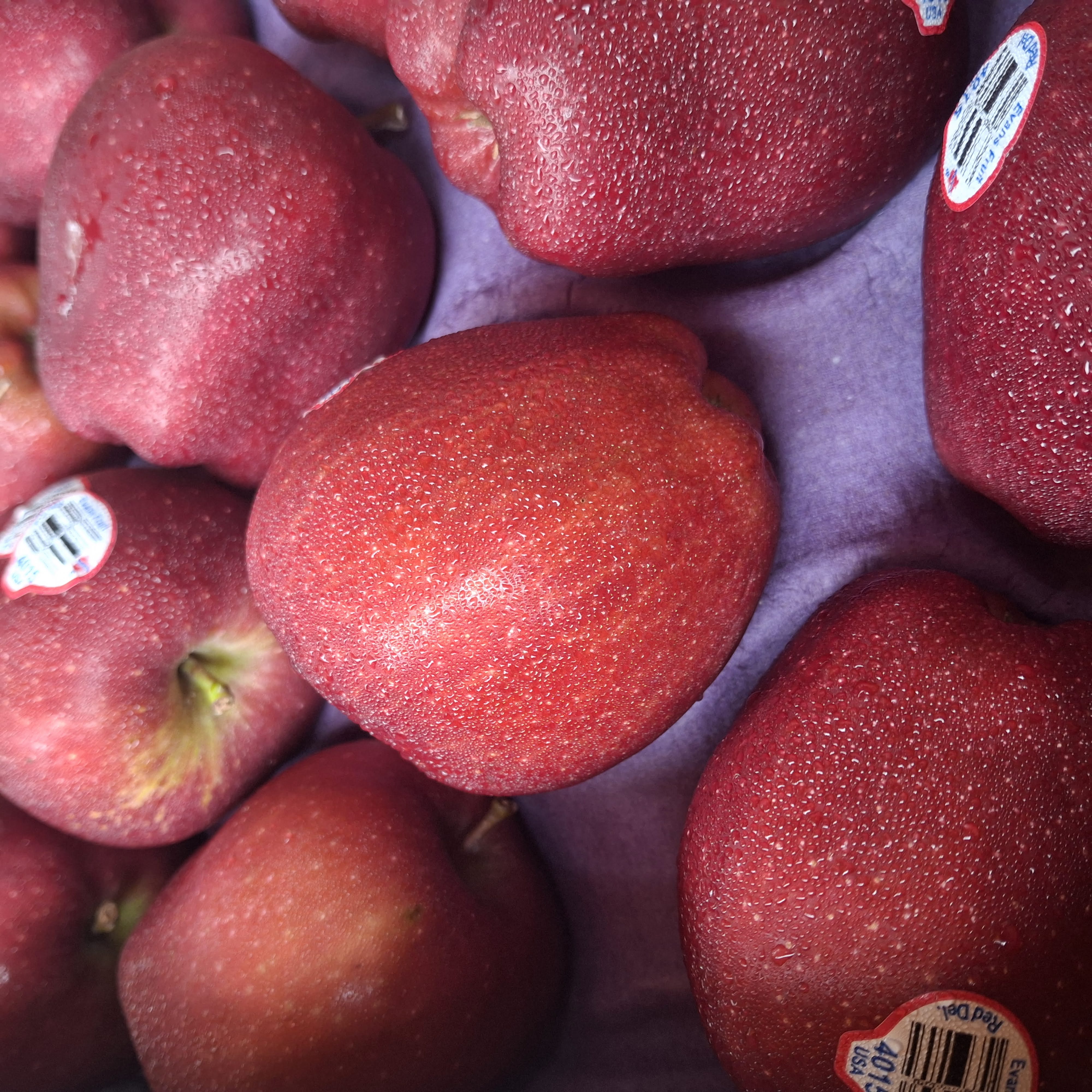 Exotic imported fruits including kiwi, dragon fruit, and berries.